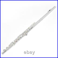 17 Hole C Pitch E Key Flute Open & Close Hole Dual-use Silver Plated Cupronickel