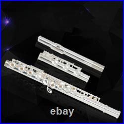17 Hole C Pitch E Key Flute Open & Close Hole Dual-use Silver Plated Cupronickel