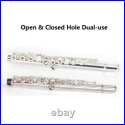 17 Hole C Pitch E Key Flute Open & Close Hole Dual-use Silver Plated Cupronickel