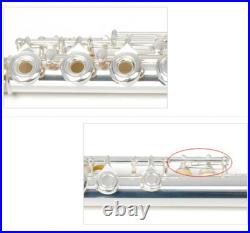 17 Hole C Pitch E Key Flute Open & Close Hole Dual-use Silver Plated Cupronickel