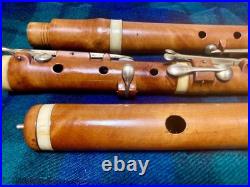 8-key Vintage Flute English Boxwood /ger. Silver/bone/mid 1800/new Repair & Pads