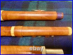 8-key Vintage Flute English Boxwood /ger. Silver/bone/mid 1800/new Repair & Pads