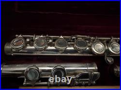 Andreas Eastman Jr. High/High School Student Flute EFL210