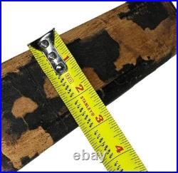 Antique Rampone Piccolo In Original Wood Box 19th Century AS IS