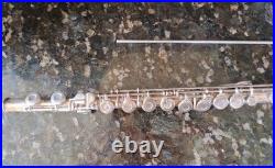 Armstrong Flute #102 and Kleartone Paris Professional Piccolo Combo Set