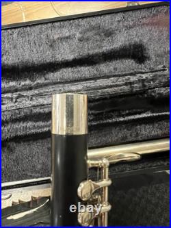 Armstrong Piccolo 307