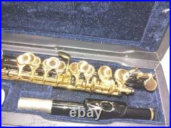 Beautiful Black And Gold Tone Cecilio piccolo C key instrument In Hard Case