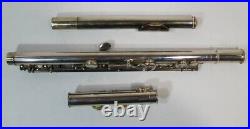 Buffet Crampon Franc Flute 225