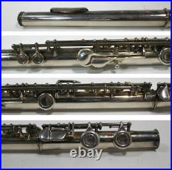 Buffet Crampon Franc Flute 225