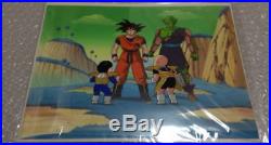 Dragon ball Z Goku Gohan Klilyn Piccolo in Namek Cel picture with Background81