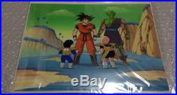 Dragon ball with cel picture background Z Goku Gohan Kurin Piccolo