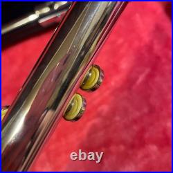 EXC Yamaha YFL-31 Flute Headjoint Solid Silver. 925 E-Mech Maintenance History