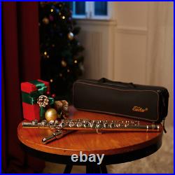 Eastar CONCERT FLUTE WITH CARRY CASE STAND FOR STUDENT SCHOOL BAND FLUTES