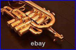Excellent SCHILKE P7-4 GP piccolo trumpet used in Japan