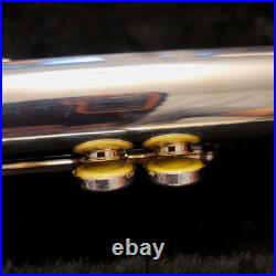 Giardinelli Silver-Plated Flute GFL-300 GFL300 Hard Black Case Tested FL20050316