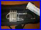 Immaculate_Yamaha_6810S_Silver_4_valve_Bb_A_Piccolo_Trumpet_With_New_ProTec_Triple_01_rjd