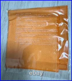 Muramatsu Flute with Damage, Case Deterioration, Needs Maintenance