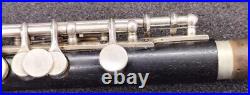 P. HAMMIG Piccolo GIS OPEN specifications Maintained withcase from JAPAN