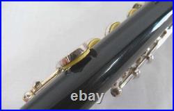 Piccolo Model number Plastic tube HILAX