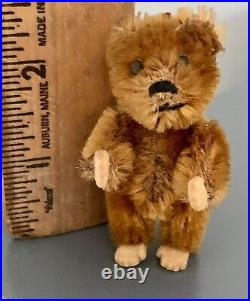 RARE Cinnamon Antique Miniature Mohair 2.5 Piccolo Schuco Teddy Bear 1930 Cute