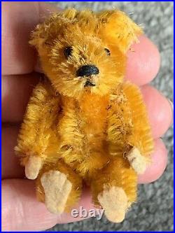 RARE GOLD Antique Miniature Mohair 2.5 Piccolo Schuco Teddy Bear 1930 CUTIE