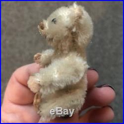 Rare Antique Miniature 2.5 White Mohair Schuco Piccolo Bear Nice Nr