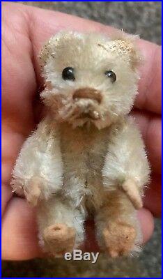 Rare Antique Miniature 2.5 White Mohair Schuco Piccolo Bear Nice Nr