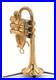 Rare_D_E_G_Signature_2000_Piccolo_Trumpet_from_Trent_s_collection_01_nrye