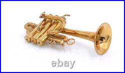 Rare! D. E. G. Signature 2000 Piccolo Trumpet from Trent's collection