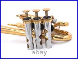 Rare! D. E. G. Signature 2000 Piccolo Trumpet from Trent's collection