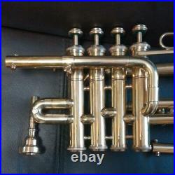 SHREYAS Piccolo Trumpet Toy Hobby Goods Musical instrument equipment 220104m172