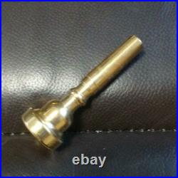 SHREYAS Piccolo Trumpet Toy Hobby Goods Musical instrument equipment 220104m172