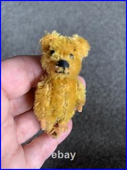 Schuco 1930's Miniature Tiny Piccolo Bear mohair gold 2.5 Felt Paw Pads So Cute
