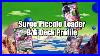 Surge_Leader_G_B_Piccolo_U0026_Zamasu_Leader_Discussion_U0026_Deck_Profile_Dbs_Tcg_01_lnc