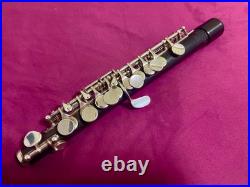 Takezawa Piccolo 205-EVR