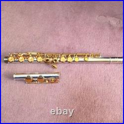 Unknown Maker Used Flute with Case and Headjoint, Repair Needed