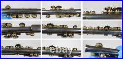 Vintage Armstrong Elkhart 34-38873 Piccolo Silver plated (1980's) With Case