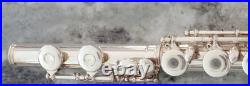 Vintage Silver Plated Model 3 French Style Gemeinhardt Student Flute & Hard Case