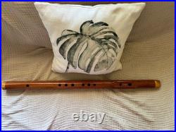 Woodsounds Low D Native American Style Flute Mahogany 31 Handcrafted