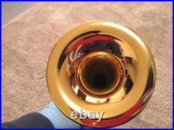 Xo Piccolo Trumpet Px-Gp