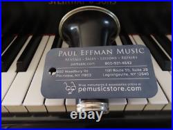 YAMAHA YFL462 OPEN HOLE FLUTE (B FOOT) GORGEOUS- prepped by Yamaha Dlr +WTY