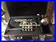 Yamaha_6810_Silver_Piccolo_Trumpet_Bb_A_Pipes_Excellent_Condition_Mute_Included_01_rova